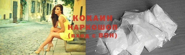 гидра Богданович