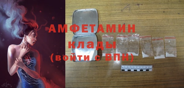 дживик Бронницы