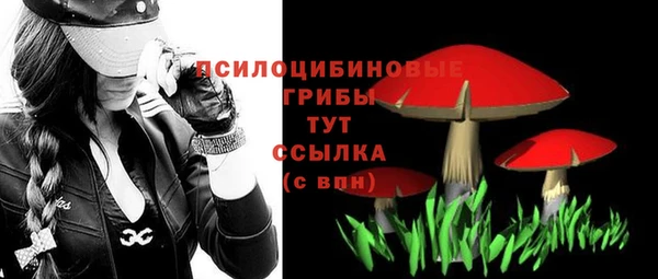 гидра Богданович
