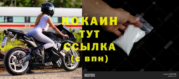 дживик Бронницы