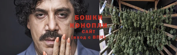 ПСИЛОЦИБИНОВЫЕ ГРИБЫ Белоозёрский