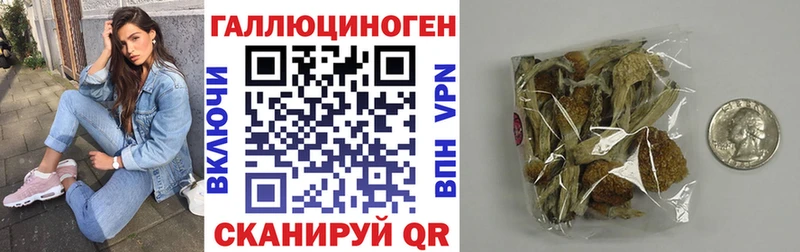 закладки  Дигора  Псилоцибиновые грибы Psilocybine cubensis 