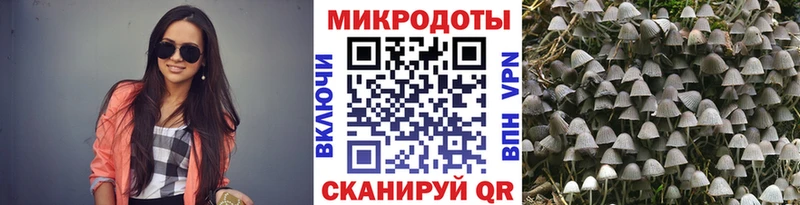 Галлюциногенные грибы мухоморы Дигора